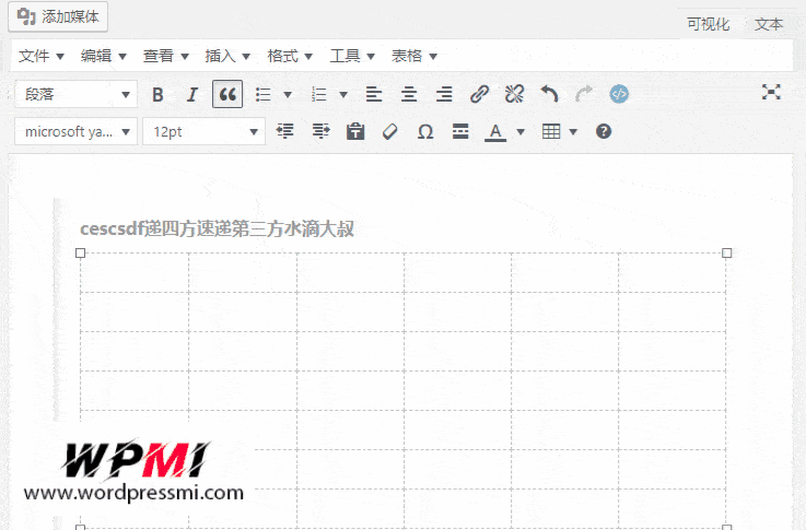 几款富文本WordPress编辑器插件的介绍和对比