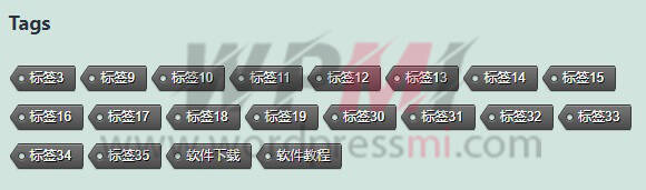 WordPress标签插件 Cool Tag Cloud